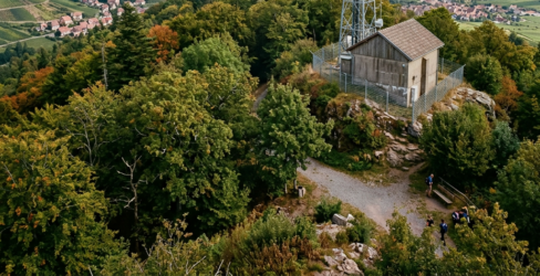 QSO Analogique des Cigognes: Mise à jour